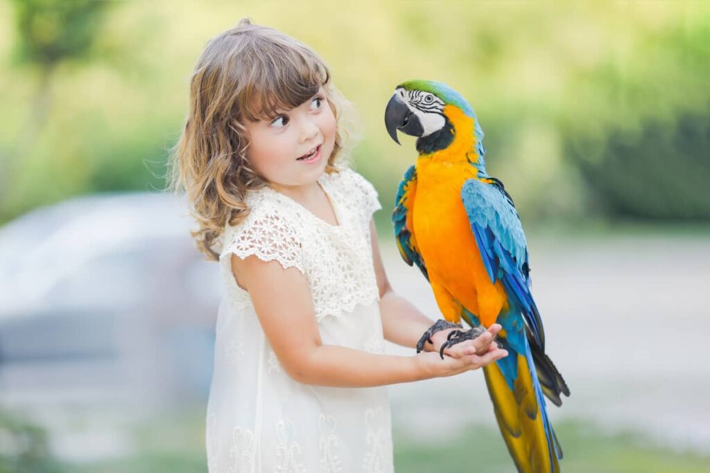 devojčica drži velikog papagaja