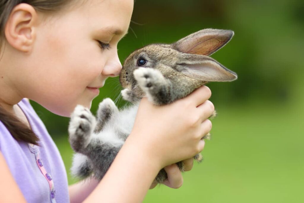 devojčica drži zeca